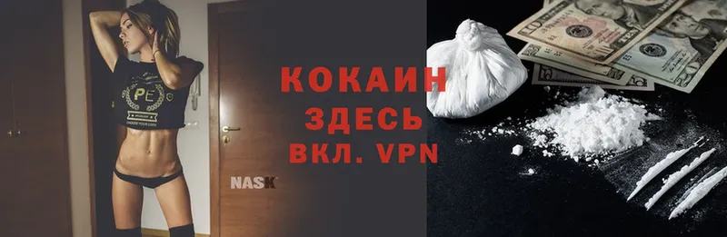 Cocaine Перу  Камышлов 